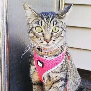 Meet your Posher, Amanda